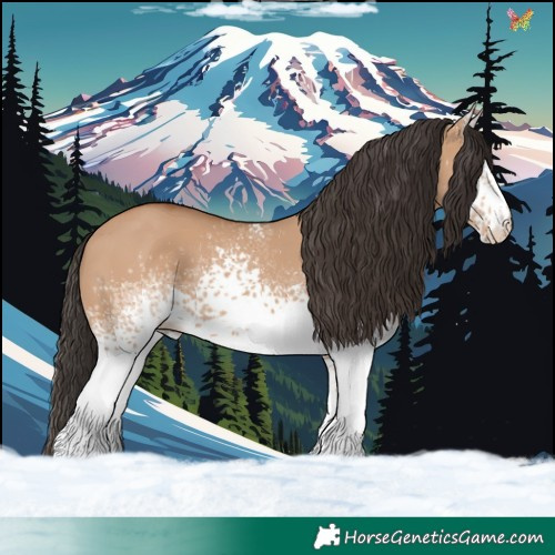 Horse Color:White Spotted Bay Dun 