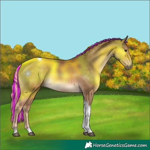 Horse Color:Painted Chocolate Palomino Tobiano 