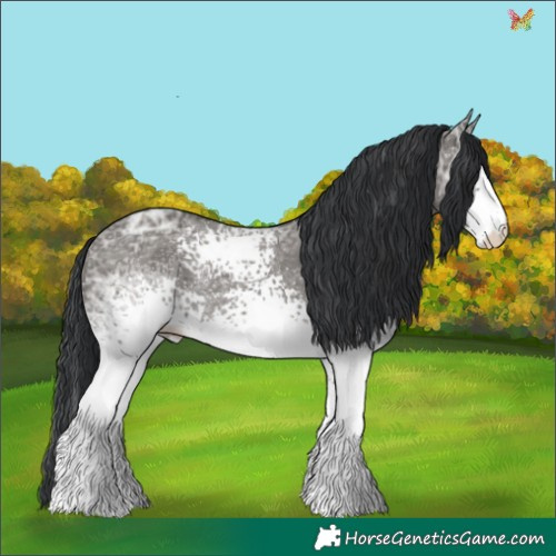 Horse Color:White Spotted Grullo Ice 