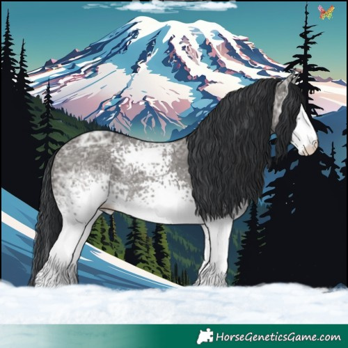 Horse Color:White Spotted Grullo Ice 