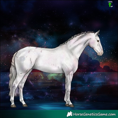 Horse Color:Nacre Liver Red Dun Sabino Tobiano Appaloosa 