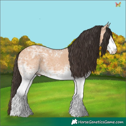 Horse Color:White Spotted Bay Ice Dun 