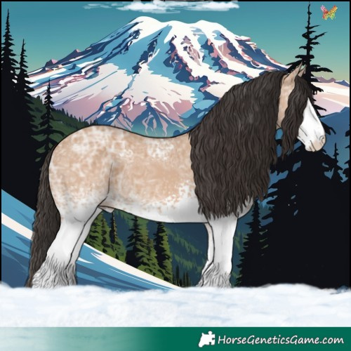 Horse Color:White Spotted Bay Ice Dun 