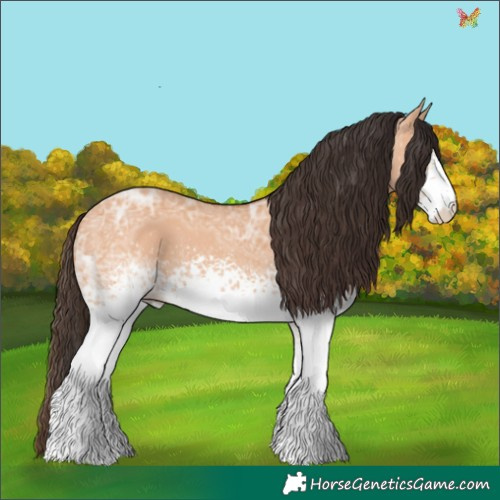 Horse Color:White Spotted Bay Ice Dun 