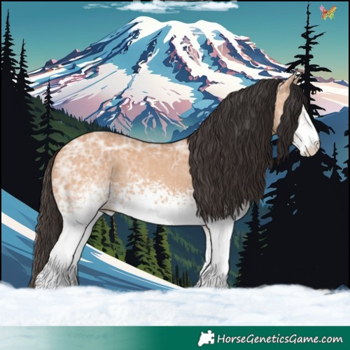 Horse Color:White Spotted Bay Ice Dun 