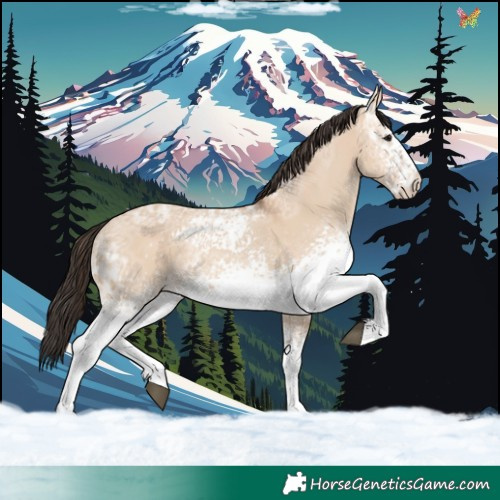 Horse Color:White Spotted Bay Ice Dun