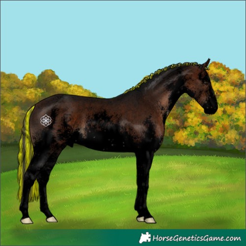 Horse Color:Void Painted White Spotted Bay Sabino 