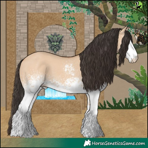 Horse Color:White Spotted Bay Dun 