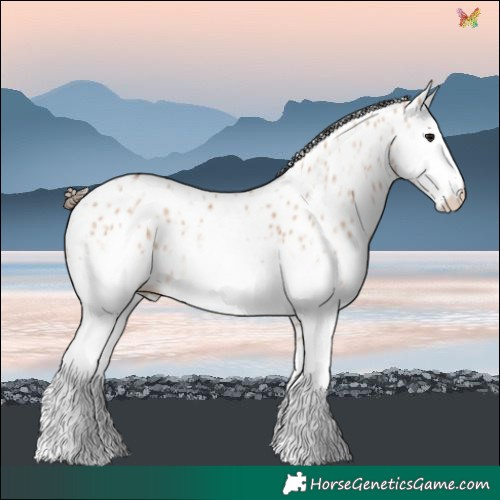 Horse Color:White Spotted Bay Ice Dun Leopard 