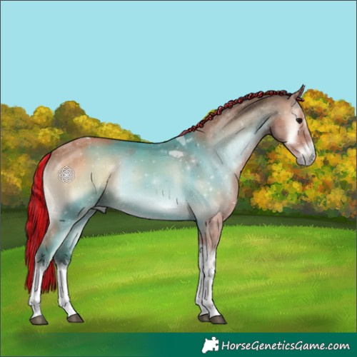 Horse Color:Painted White Spotted Bay Onyx Mushroom Tobiano 