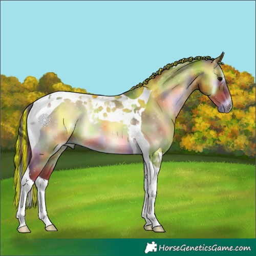 Horse Color:Painted Nacre Bay Onyx Tobiano 
