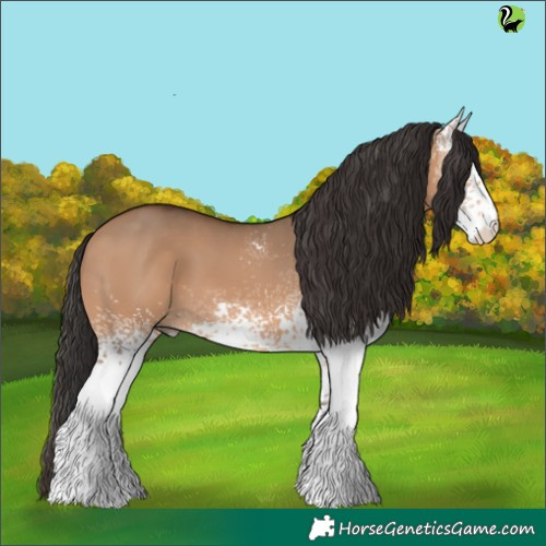Horse Color:White Spotted Brown Dun 