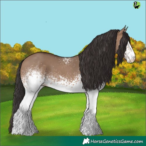 Horse Color:White Spotted Brown Dun 