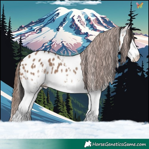 Horse Color:White Spotted Brown Dun Appaloosa 