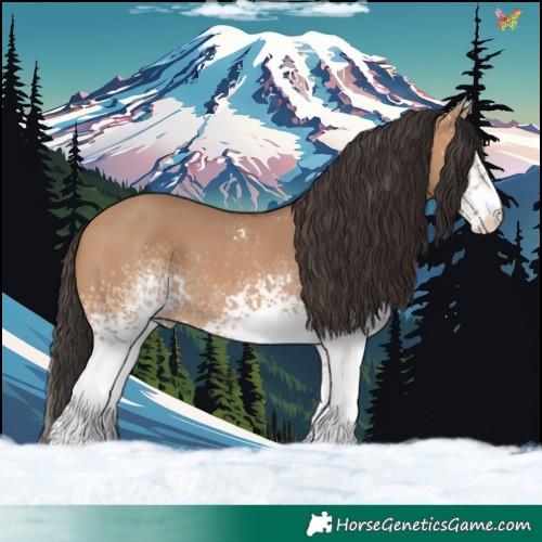 Horse Color:White Spotted Bay Dun 