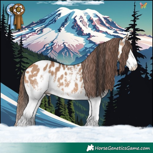 Horse Color:White Spotted Bay Dun Appaloosa 
