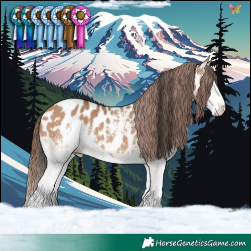 Horse Color:White Spotted Bay Dun Near Leopard 