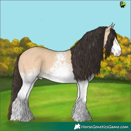 Horse Color:White Spotted Bay Dun 