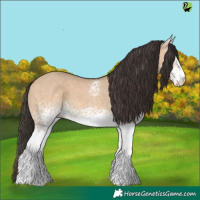 Horse Color:White Spotted Bay Dun 