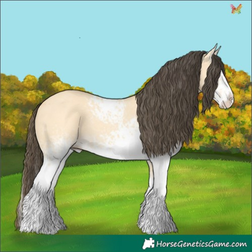 Horse Color:White Spotted Buckskin Dun Splash 