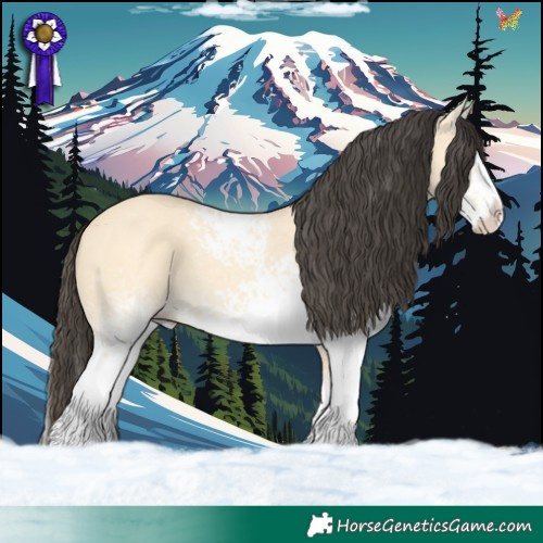 Horse Color:White Spotted Buckskin Dun Splash 
