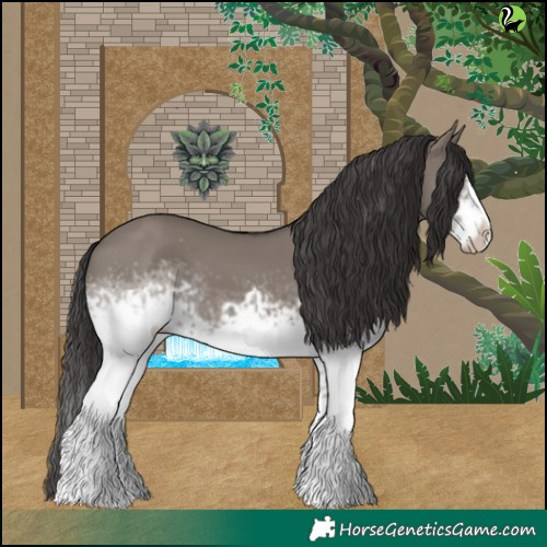 Horse Color:White Spotted Smoky Grullo Frame