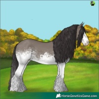 Horse Color:White Spotted Smoky Grullo Frame 