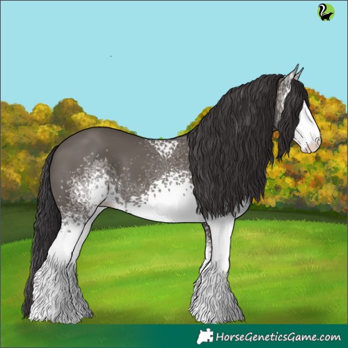 Horse Color:White Spotted Smoky Grullo