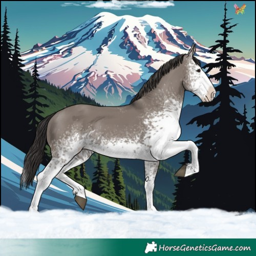 Horse Color:White Spotted Smoky Grullo Splash 
