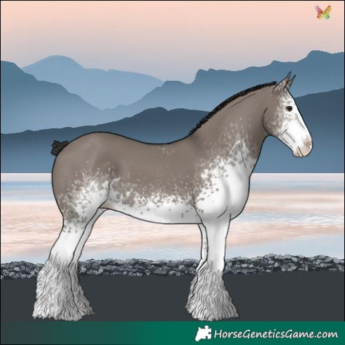 Horse Color:White Spotted Smoky Grullo Splash 