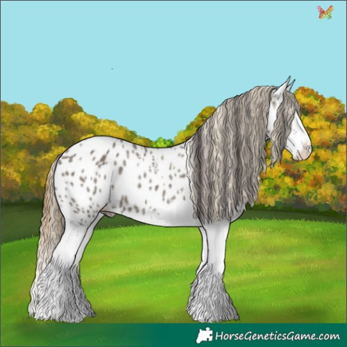 Horse Color:White Spotted Smoky Grullo Splash Appaloosa 