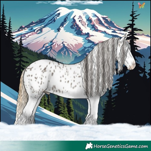 Horse Color:White Spotted Smoky Grullo Splash Near Leopard 