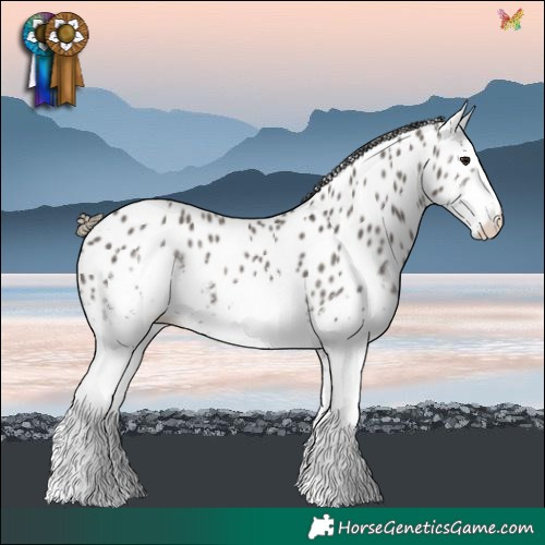 Horse Color:White Spotted Smoky Grullo Near Leopard 