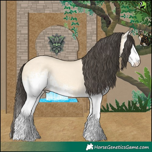 Horse Color:White Spotted Buckskin Dun 