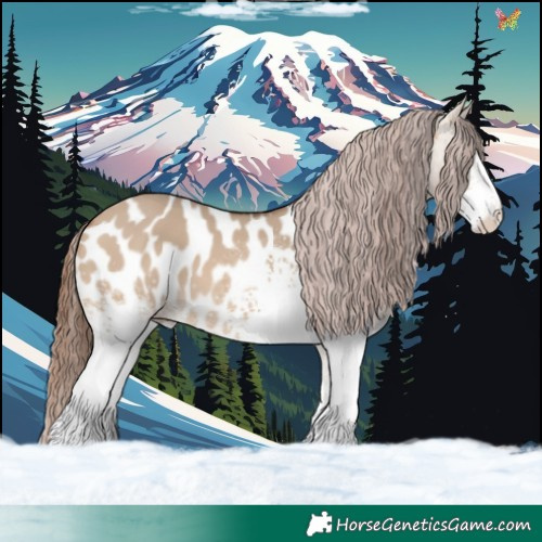 Horse Color:White Spotted Bay Dun Appaloosa 