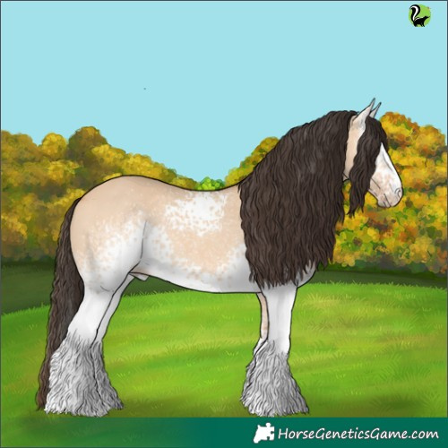 Horse Color:White Spotted Bay Dun 