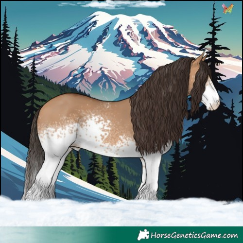 Horse Color:White Spotted Bay Dun 