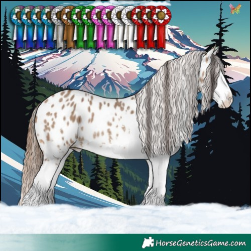 Horse Color:White Spotted Bay Dun Near Leopard 