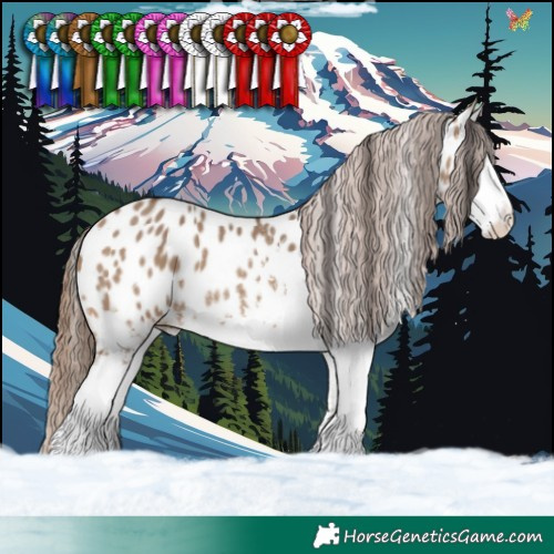 Horse Color:White Spotted Bay Dun Appaloosa 