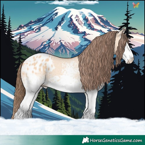 Horse Color:White Spotted Bay Dun Appaloosa 