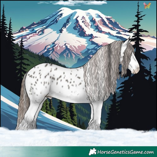 Horse Color:White Spotted Grullo Near Leopard 