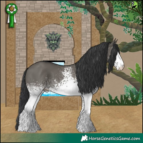 Horse Color:White Spotted Grullo 
