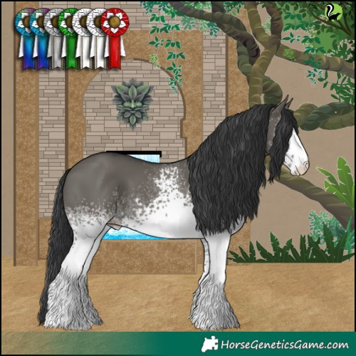 Horse Color:White Spotted Grullo 