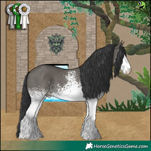 Horse Color:White Spotted Grullo 