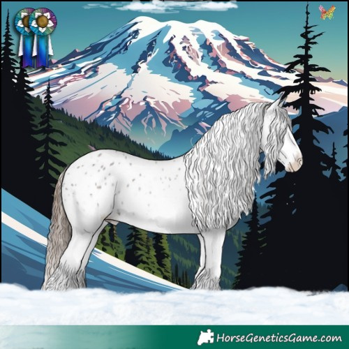 Horse Color:White Spotted Grullo Appaloosa 