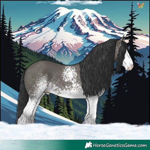 Horse Color:White Spotted Grullo 