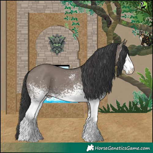 Horse Color:White Spotted Grullo 