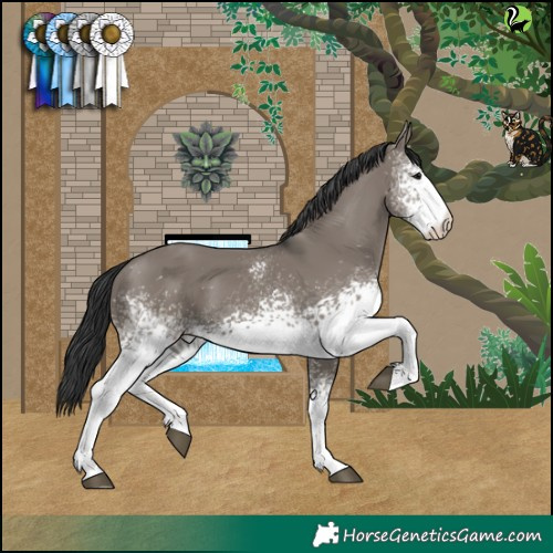 Horse Color:White Spotted Grullo 