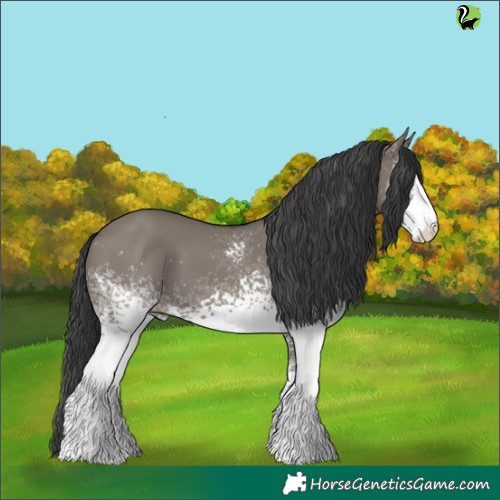 Horse Color:White Spotted Grullo 
