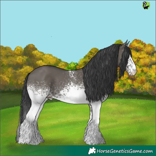 Horse Color:White Spotted Grullo 